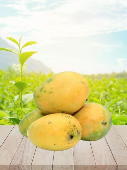Banganapalle Mango